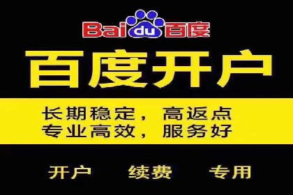 竞价推广策略解析：实战案例分析